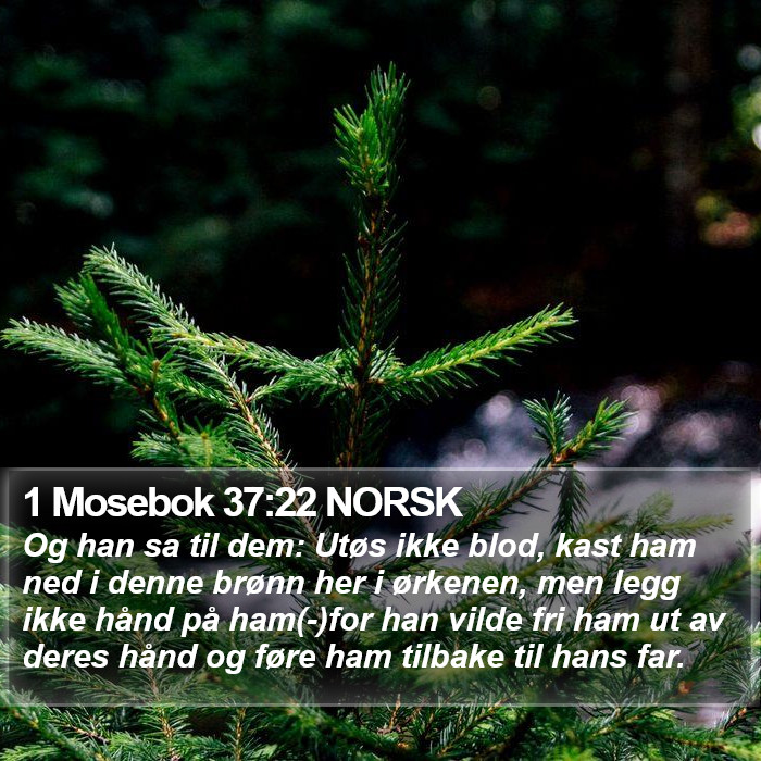 1 Mosebok 37:22 NORSK Bible Study