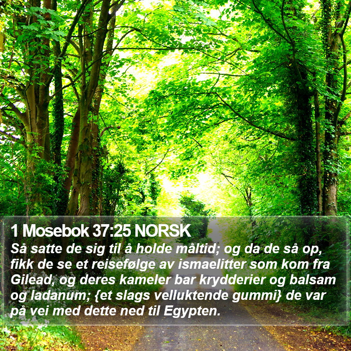 1 Mosebok 37:25 NORSK Bible Study