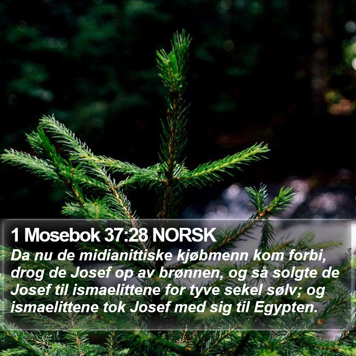 1 Mosebok 37:28 NORSK Bible Study