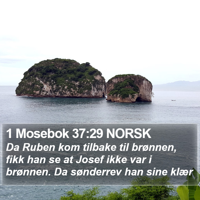 1 Mosebok 37:29 NORSK Bible Study