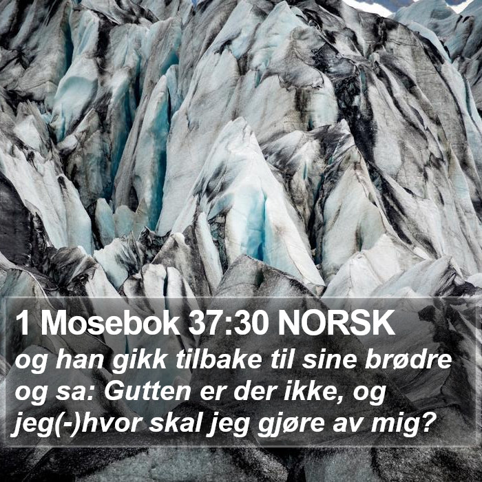 1 Mosebok 37:30 NORSK Bible Study