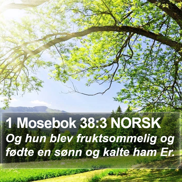 1 Mosebok 38:3 NORSK Bible Study