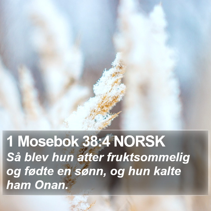 1 Mosebok 38:4 NORSK Bible Study