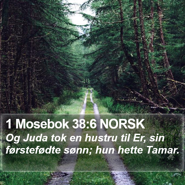 1 Mosebok 38:6 NORSK Bible Study