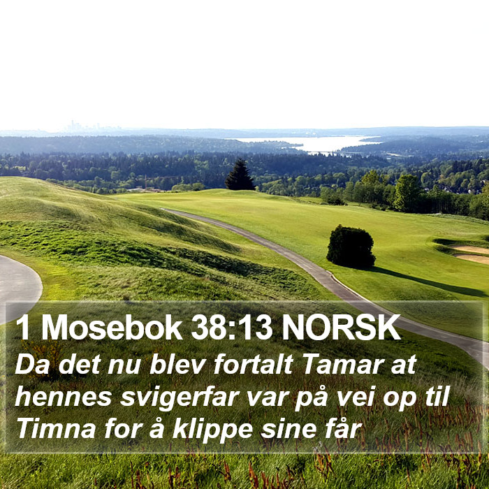 1 Mosebok 38:13 NORSK Bible Study