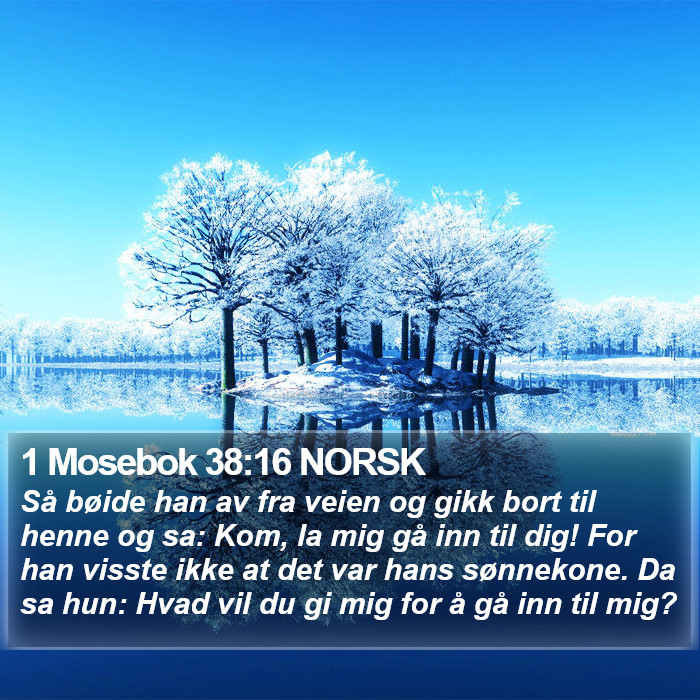 1 Mosebok 38:16 NORSK Bible Study