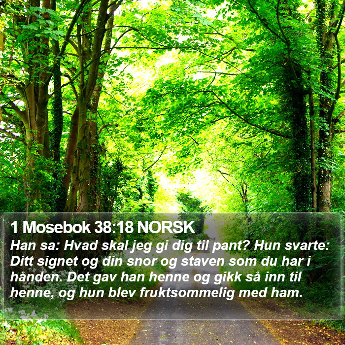 1 Mosebok 38:18 NORSK Bible Study