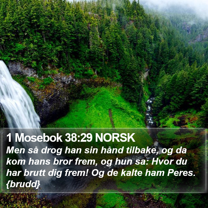 1 Mosebok 38:29 NORSK Bible Study