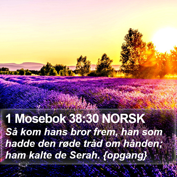 1 Mosebok 38:30 NORSK Bible Study