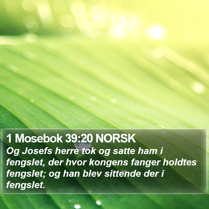 1 Mosebok 39:20 NORSK Bible Study