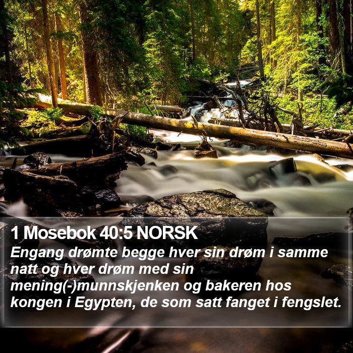 1 Mosebok 40:5 NORSK Bible Study