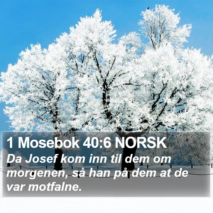 1 Mosebok 40:6 NORSK Bible Study