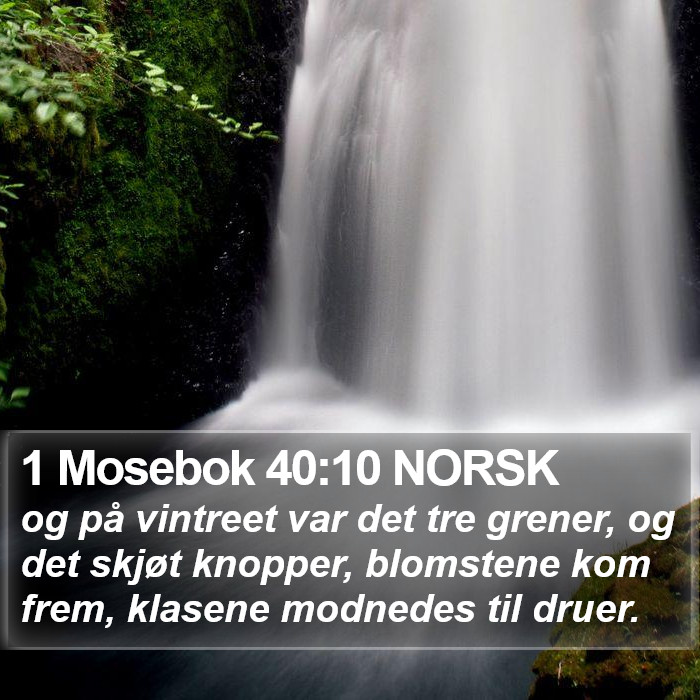 1 Mosebok 40:10 NORSK Bible Study