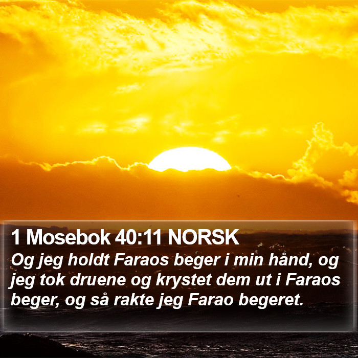 1 Mosebok 40:11 NORSK Bible Study