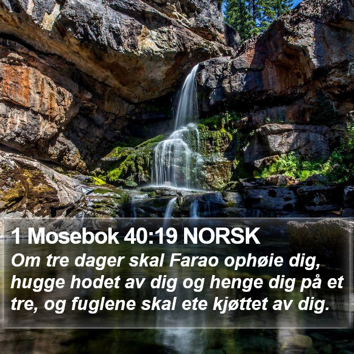 1 Mosebok 40:19 NORSK Bible Study