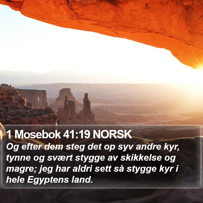 1 Mosebok 41:19 NORSK Bible Study