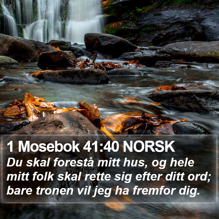 1 Mosebok 41:40 NORSK Bible Study