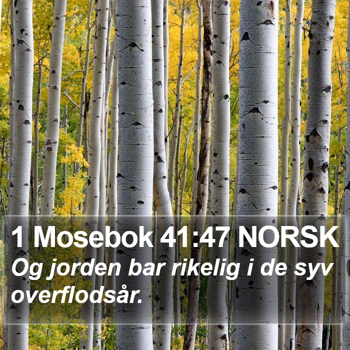 1 Mosebok 41:47 NORSK Bible Study