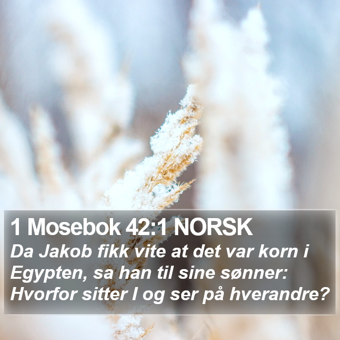 1 Mosebok 42:1 NORSK Bible Study