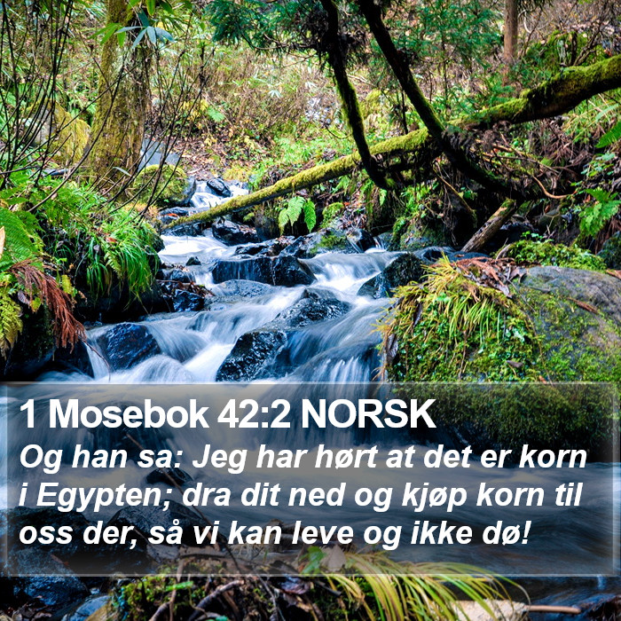 1 Mosebok 42:2 NORSK Bible Study