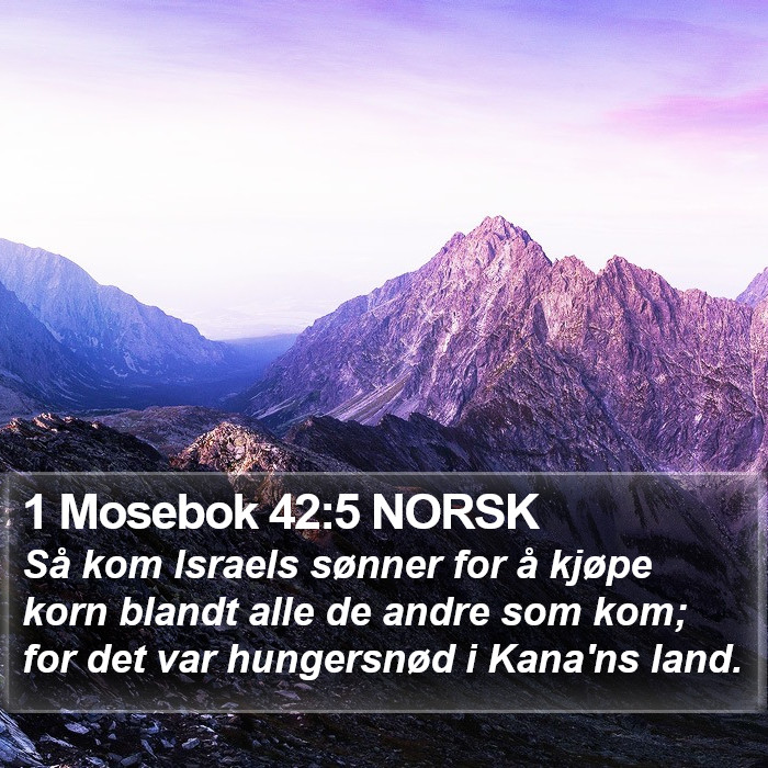 1 Mosebok 42:5 NORSK Bible Study