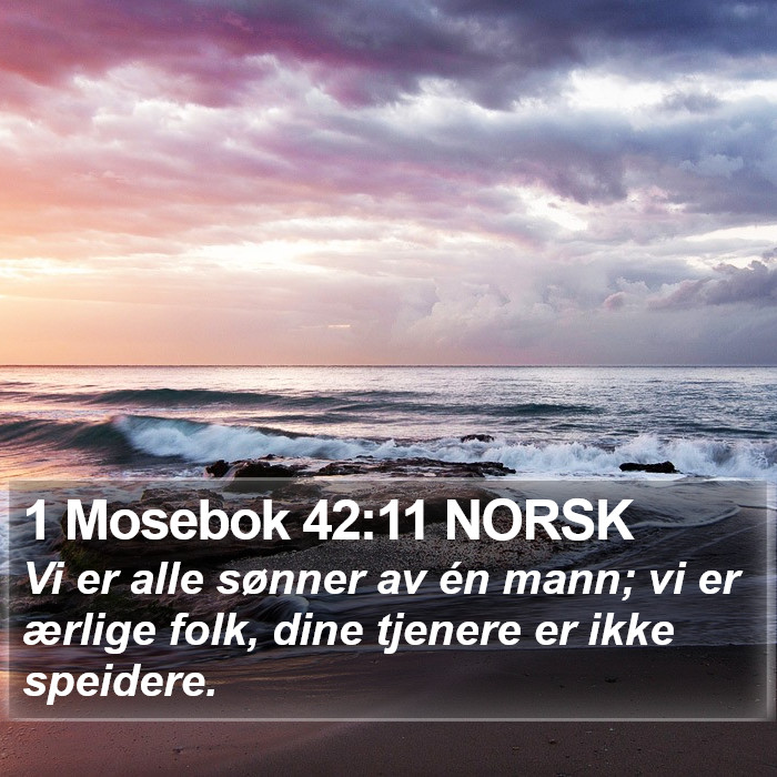 1 Mosebok 42:11 NORSK Bible Study