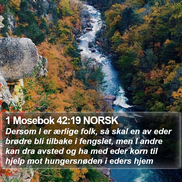 1 Mosebok 42:19 NORSK Bible Study