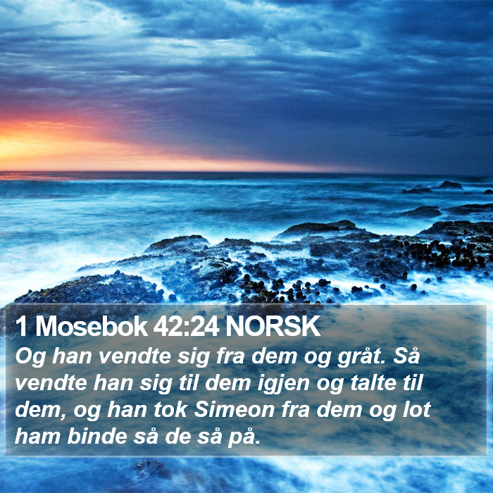 1 Mosebok 42:24 NORSK Bible Study