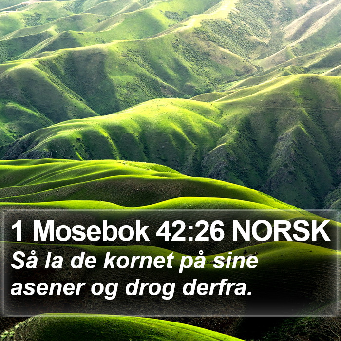 1 Mosebok 42:26 NORSK Bible Study