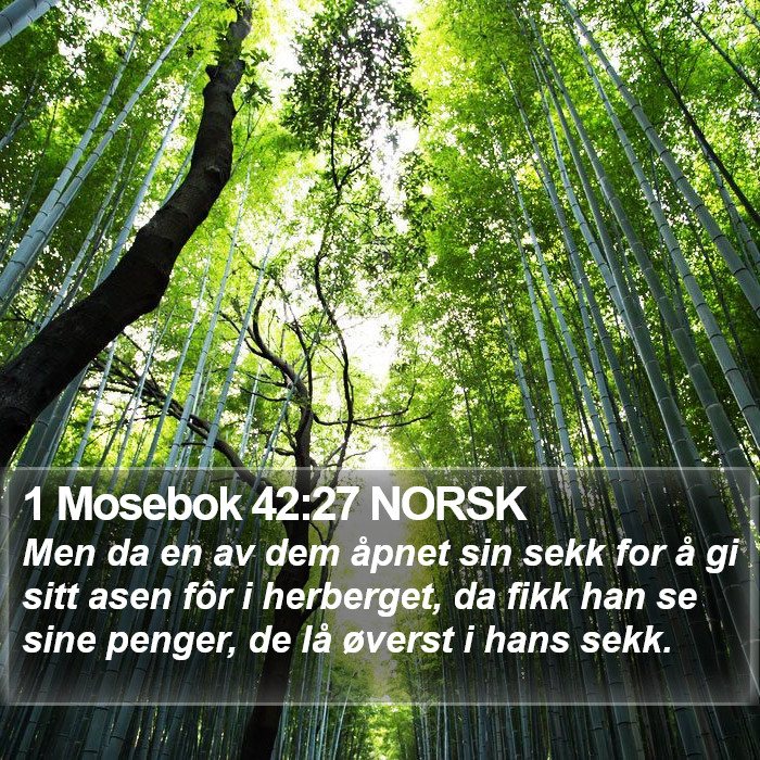 1 Mosebok 42:27 NORSK Bible Study