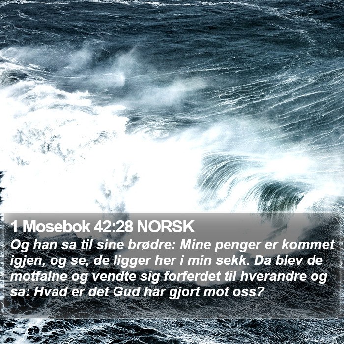 1 Mosebok 42:28 NORSK Bible Study