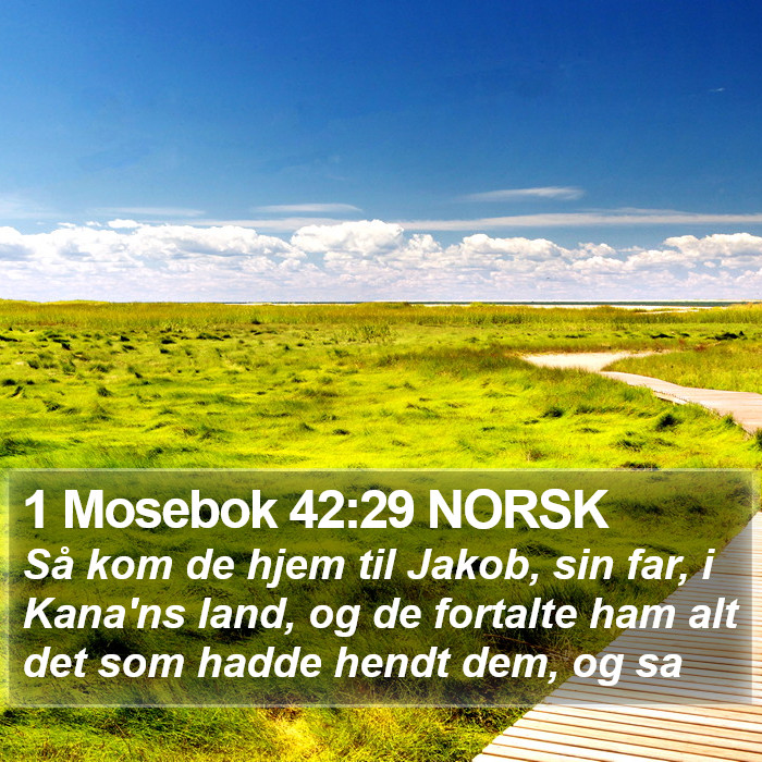 1 Mosebok 42:29 NORSK Bible Study