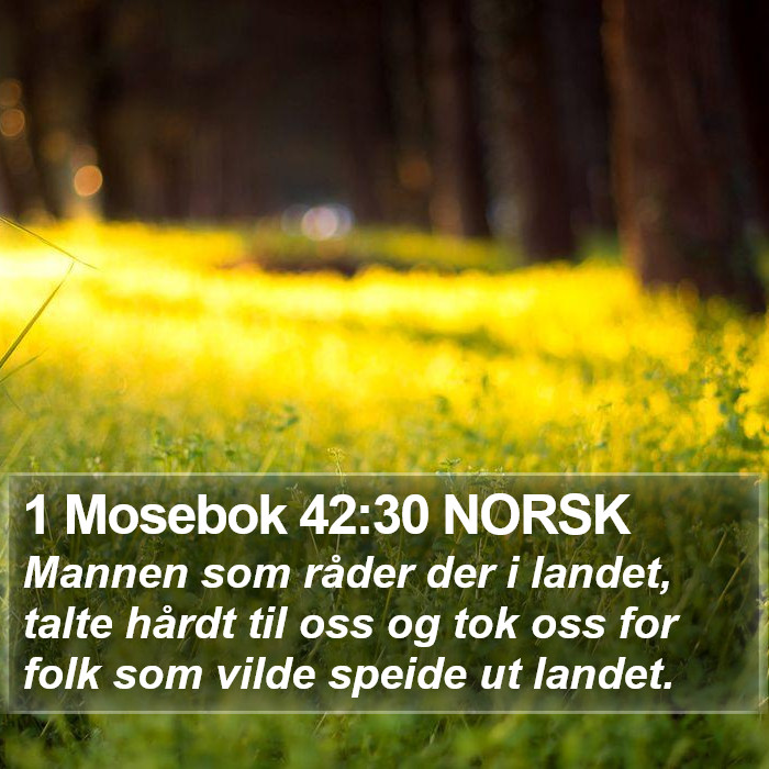 1 Mosebok 42:30 NORSK Bible Study