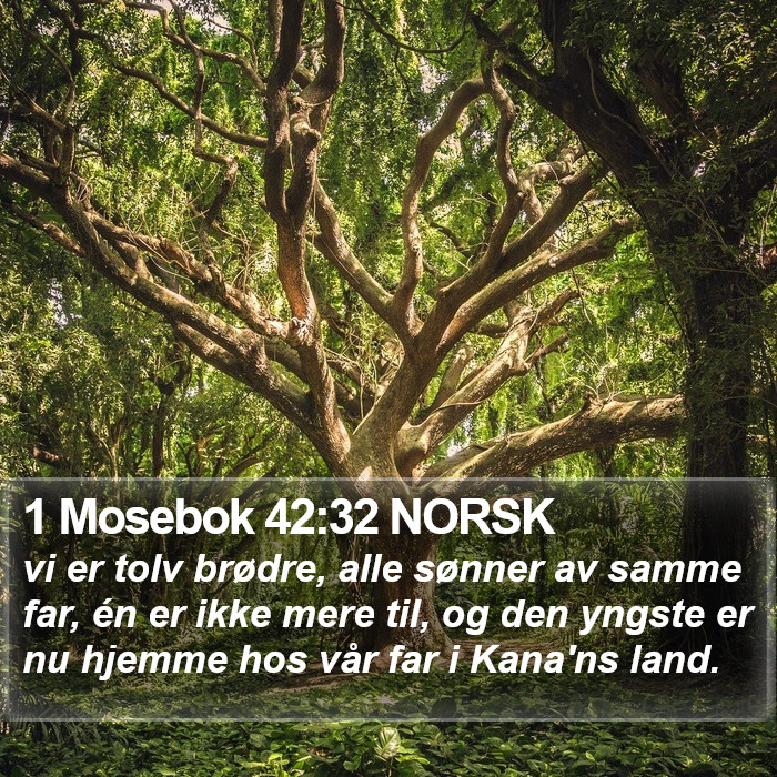 1 Mosebok 42:32 NORSK Bible Study