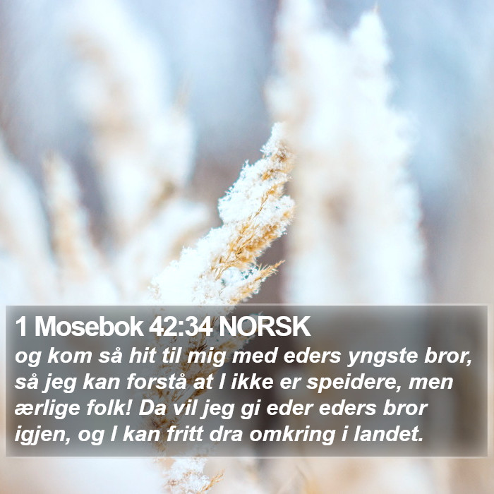 1 Mosebok 42:34 NORSK Bible Study