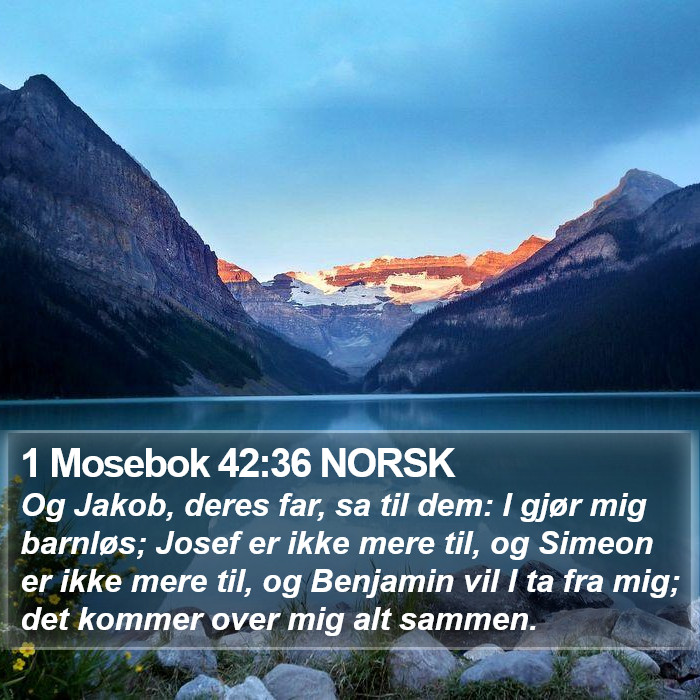 1 Mosebok 42:36 NORSK Bible Study