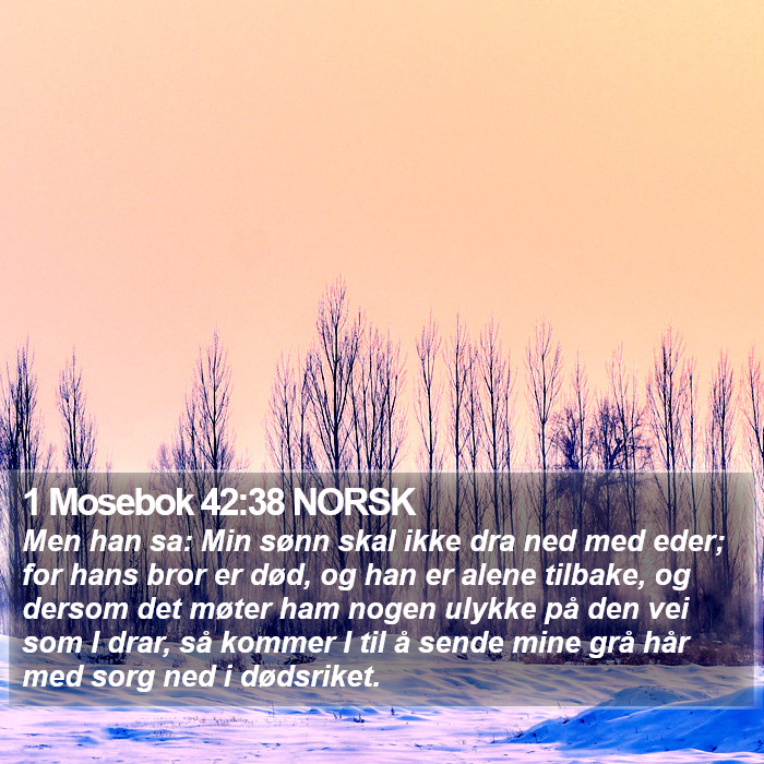 1 Mosebok 42:38 NORSK Bible Study