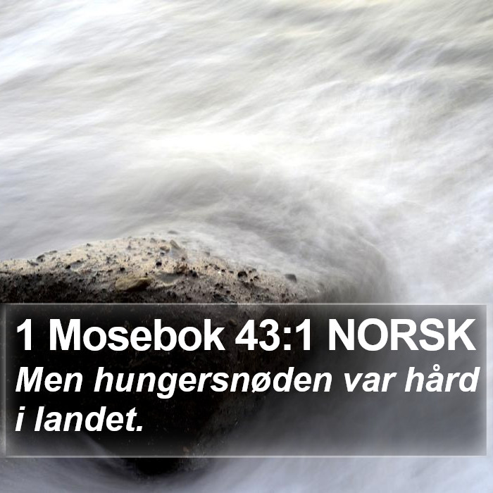 1 Mosebok 43:1 NORSK Bible Study