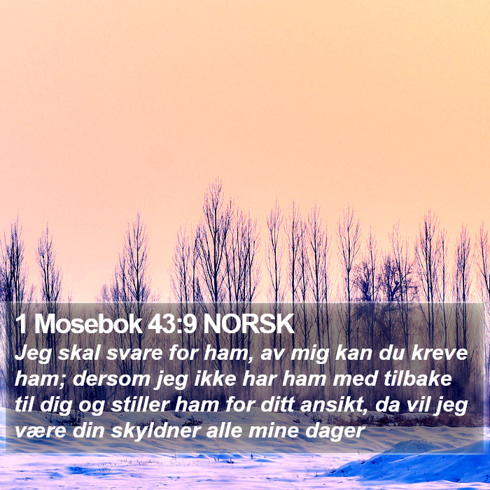 1 Mosebok 43:9 NORSK Bible Study