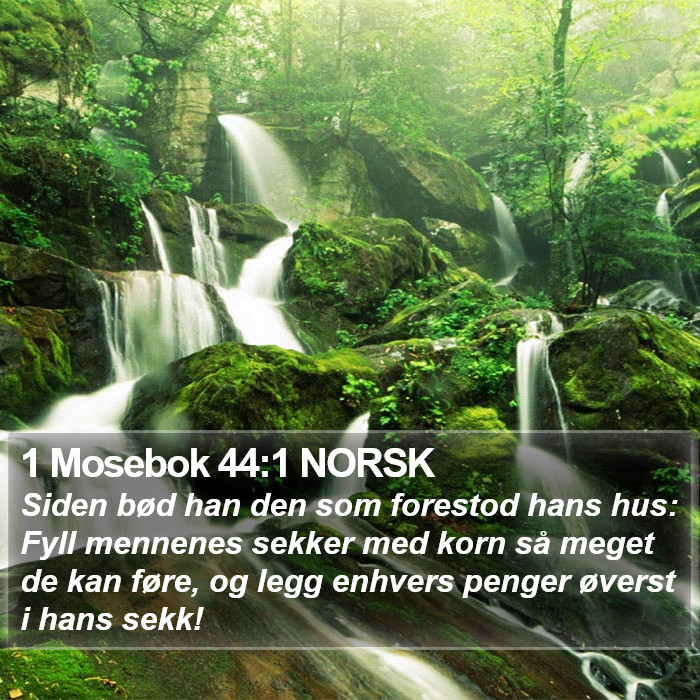 1 Mosebok 44:1 NORSK Bible Study