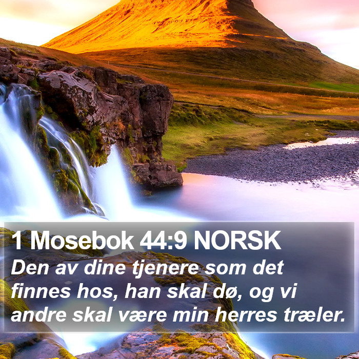 1 Mosebok 44:9 NORSK Bible Study