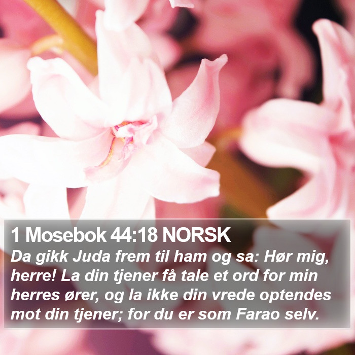 1 Mosebok 44:18 NORSK Bible Study