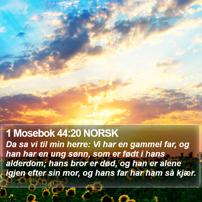 1 Mosebok 44:20 NORSK Bible Study