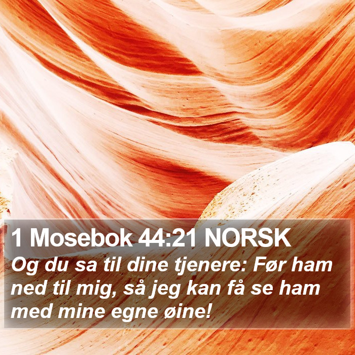 1 Mosebok 44:21 NORSK Bible Study