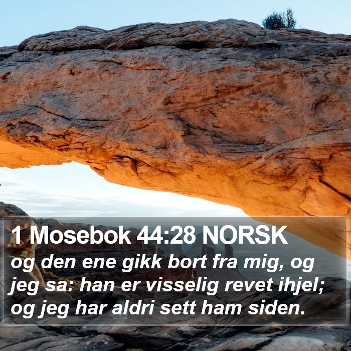 1 Mosebok 44:28 NORSK Bible Study