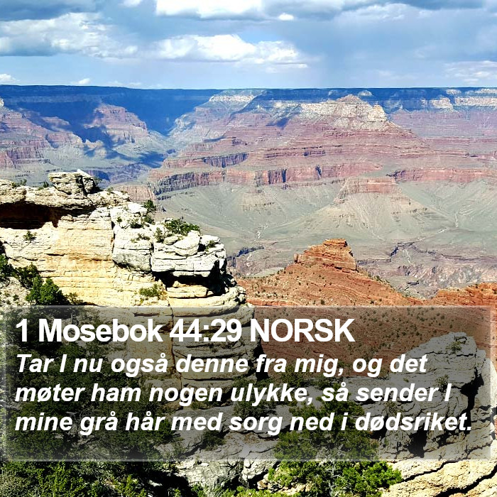 1 Mosebok 44:29 NORSK Bible Study