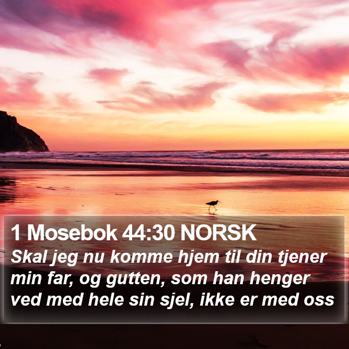 1 Mosebok 44:30 NORSK Bible Study