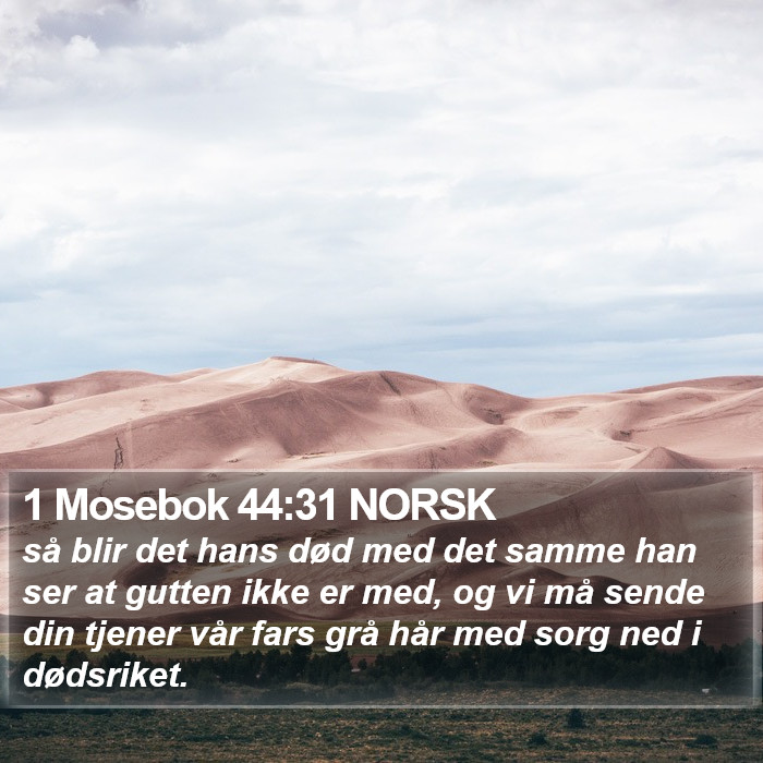 1 Mosebok 44:31 NORSK Bible Study