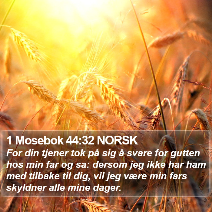 1 Mosebok 44:32 NORSK Bible Study