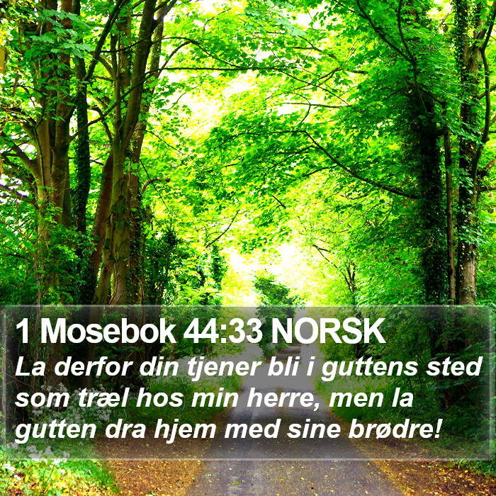 1 Mosebok 44:33 NORSK Bible Study